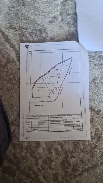 Ферма 21 соток. Янгиюль