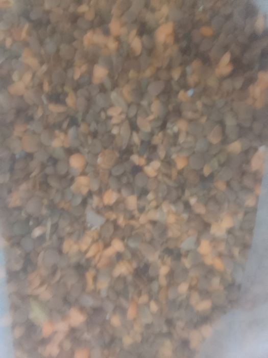 ОТХОДЫ Зерноотходы сечка Отруби корм