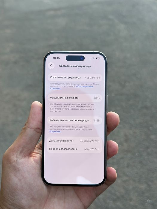 iPhone 15 Pro 256gb 81%