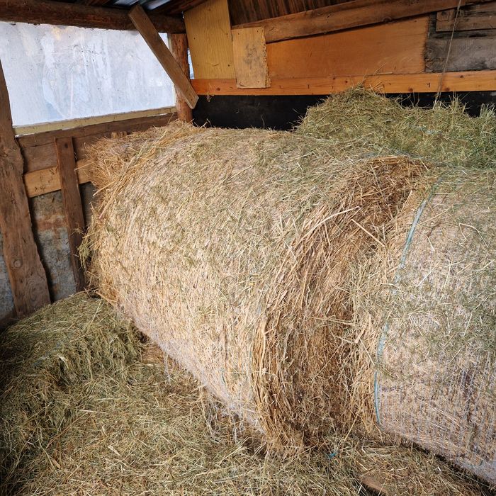 Ролона бали люцерна първи откос