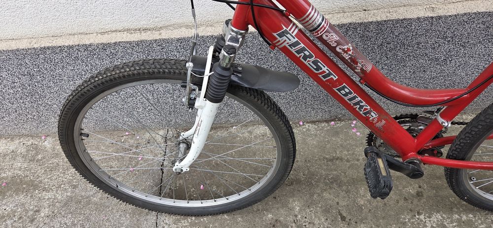 Bicicletă First Bike
