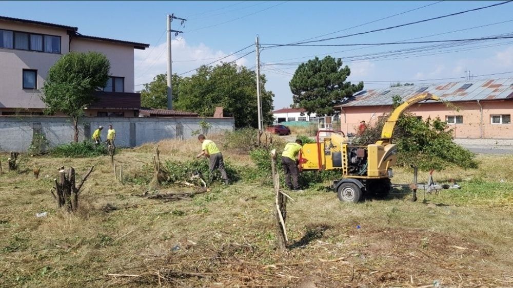 Defrisam terenuri,Amenajam grădini