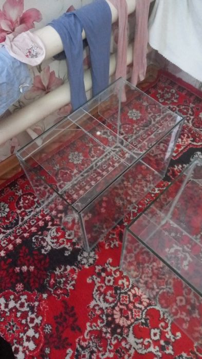 Рыбки аквариумные