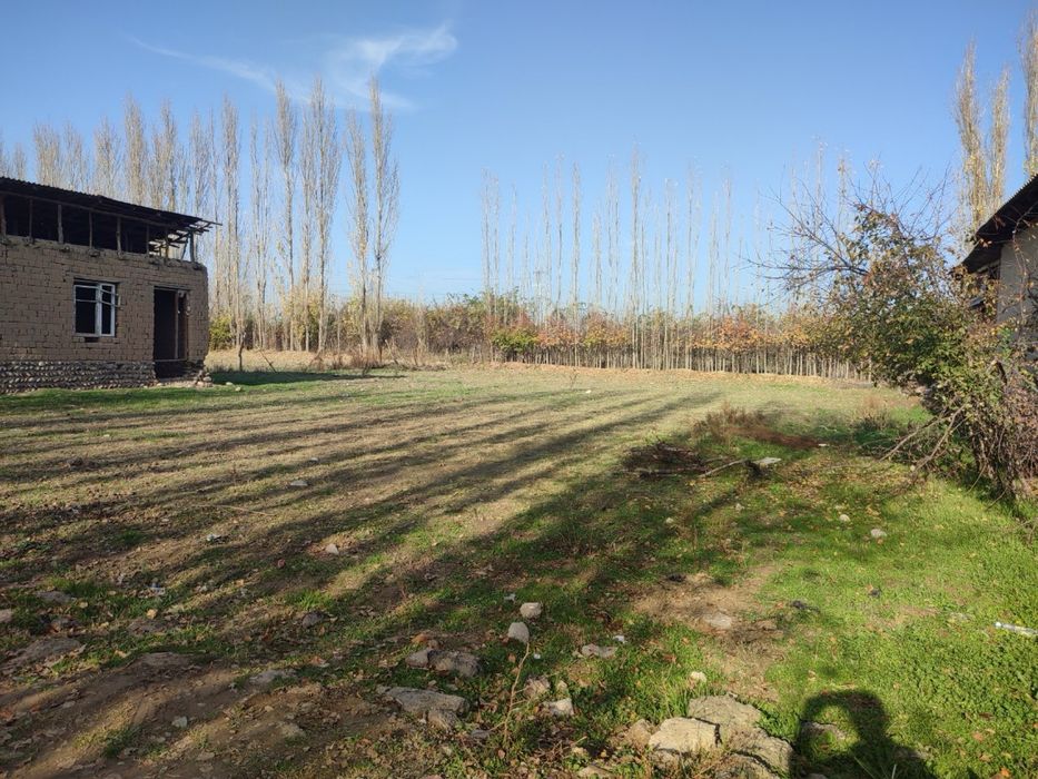 Дала ховли сотилади