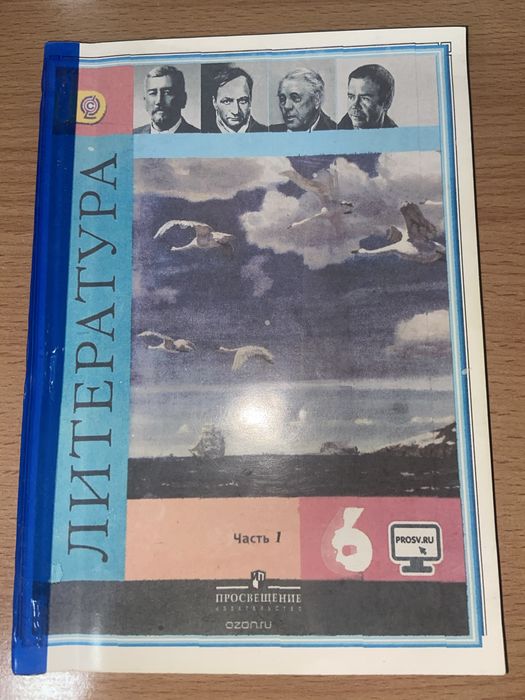 Учебники по литературе , 6-8 классы на русском языке