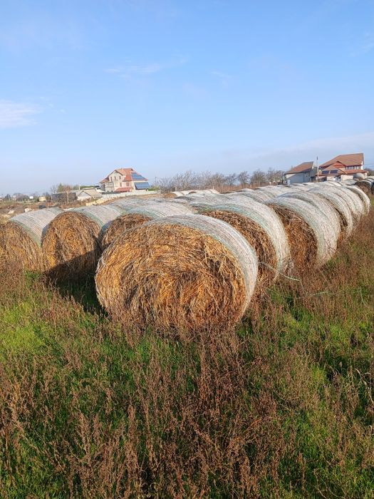 Vind baloti de ovaz și baloti de lucerna