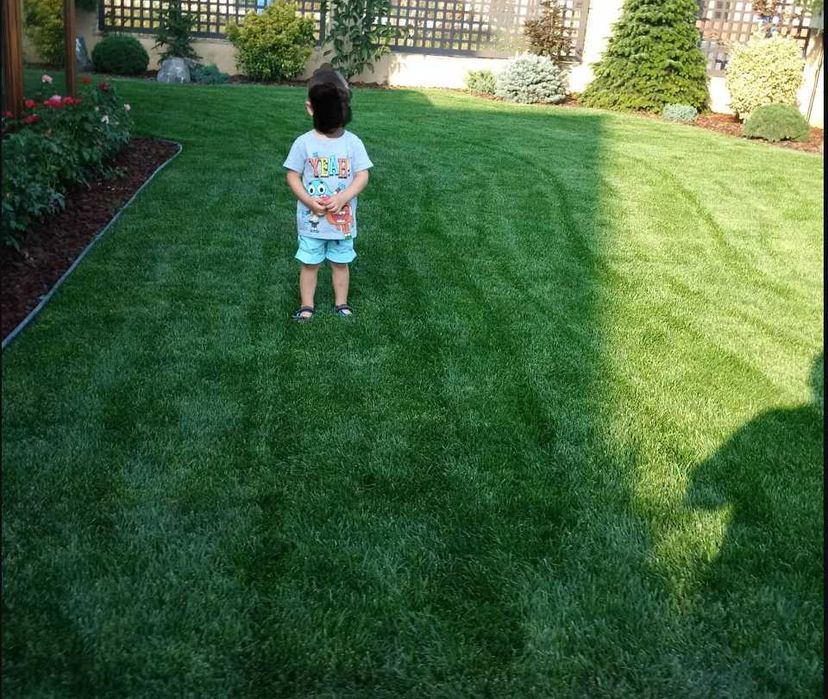 Grădină ca-n Revistă – Gazon Rulou, Nivelare și Montaj