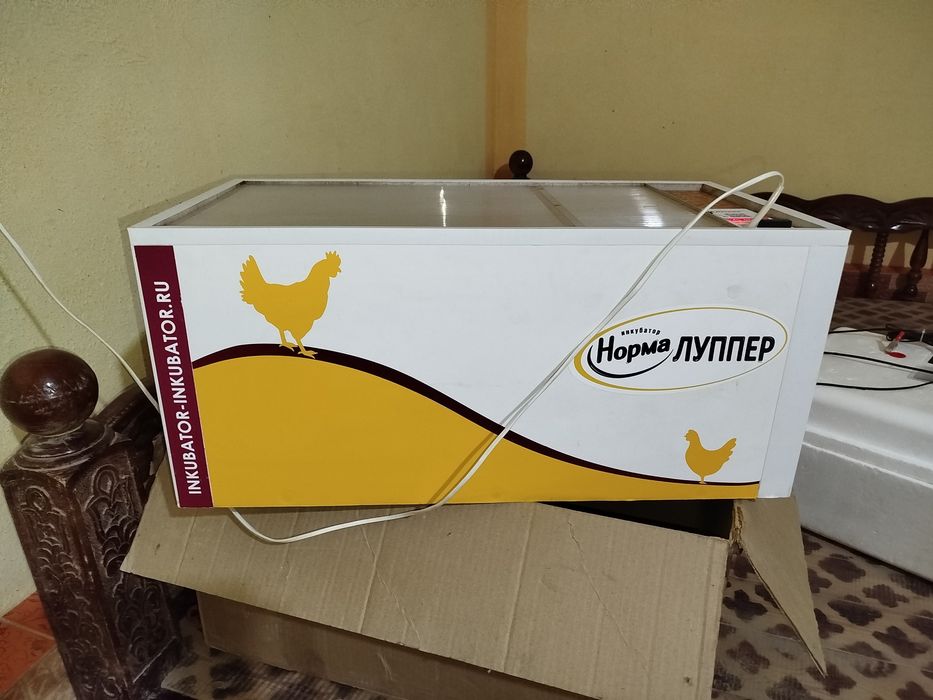 Инкубатор норма луппер