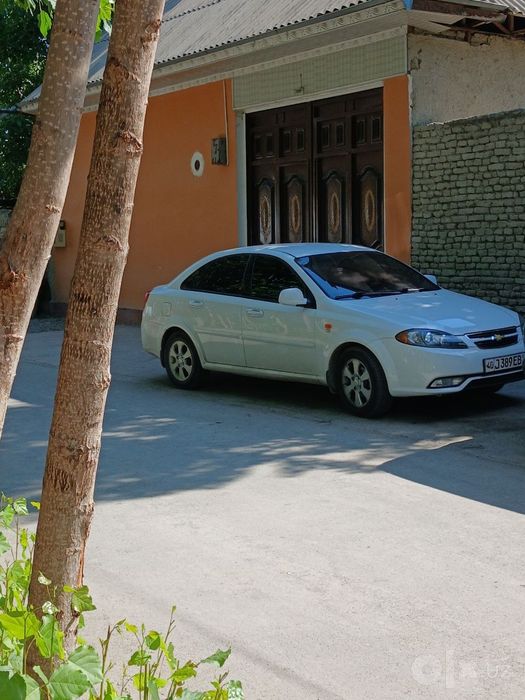 Жентра холати зор