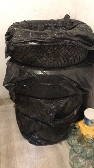 шины зимние полушипованные