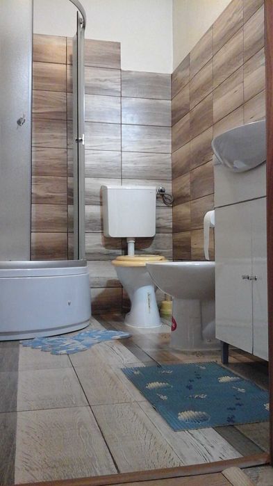 Apartament la casa in Cristian