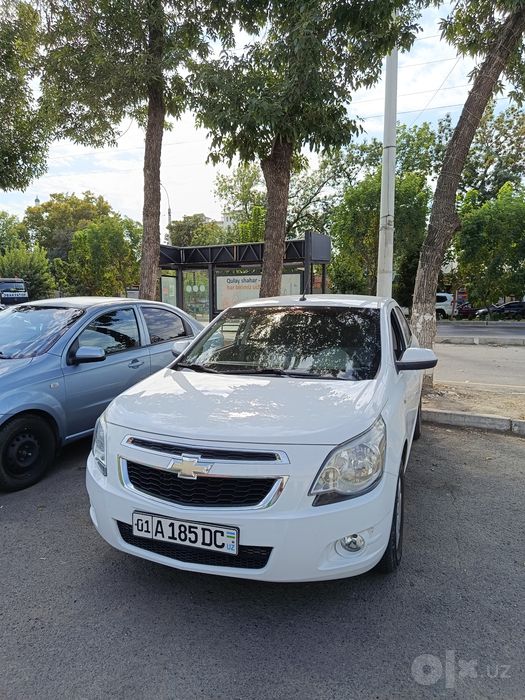 Cobalt 2019 top tozza