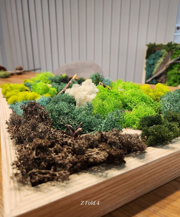 Картини със скандинавски мъх