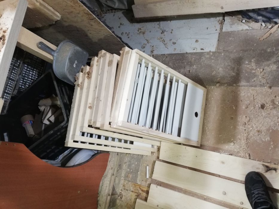 Fete de boxe porumbei