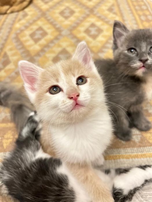 Эксклюзивное предложение