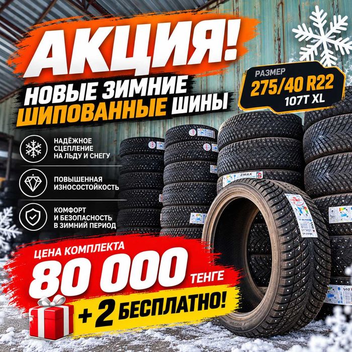 Зимние шипованные шины R22