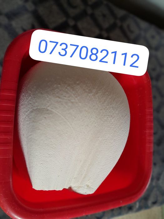 Vând lapte , caș si brânză de capră