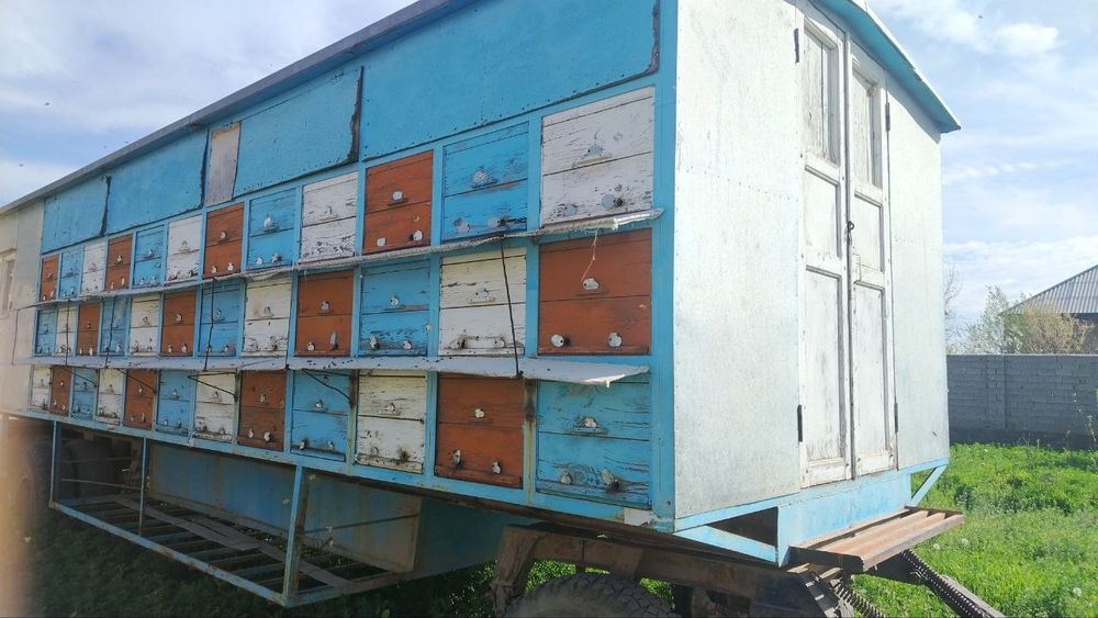 Асалари павильони. Пчело прицеп 88 уля