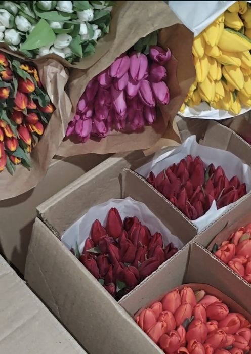 Тюльпаны в розницу