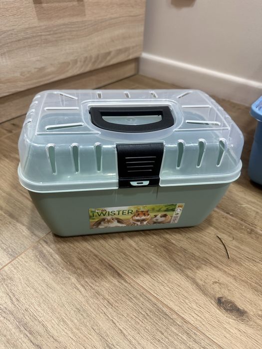 Vand Iepure pitic cap de leu