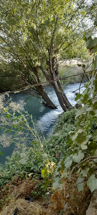 Ховли санатория бустон