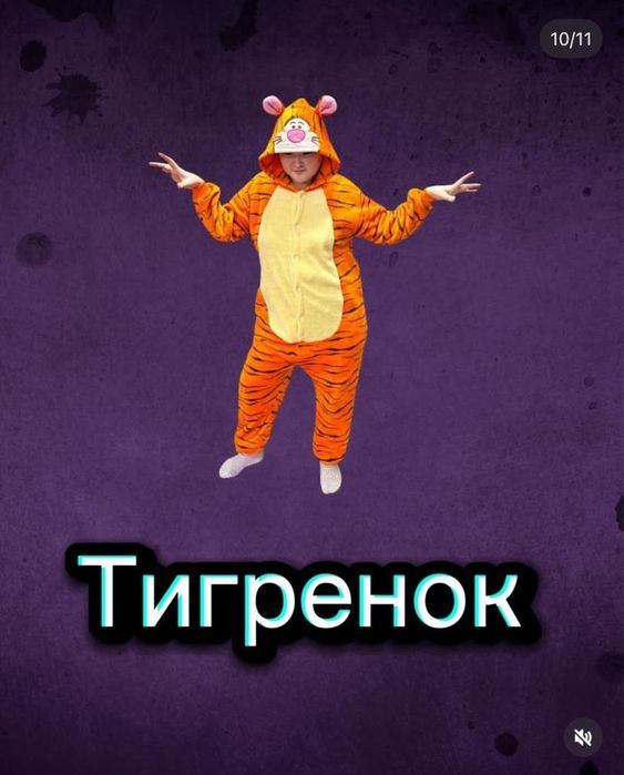 Аниматоры, костюмы