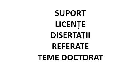 Asistenta si suport academic proiecte