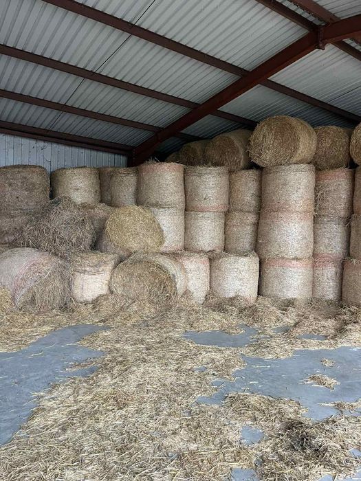 Продавам бали люцерна и слама