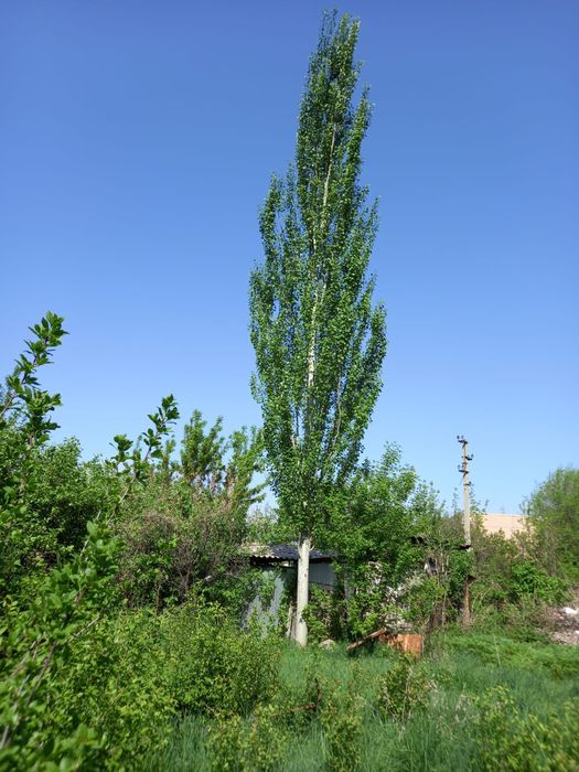 Продам участок с домом