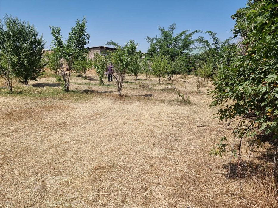 Продается участок 18 соток в Пскентском районе, Ташкентская область!