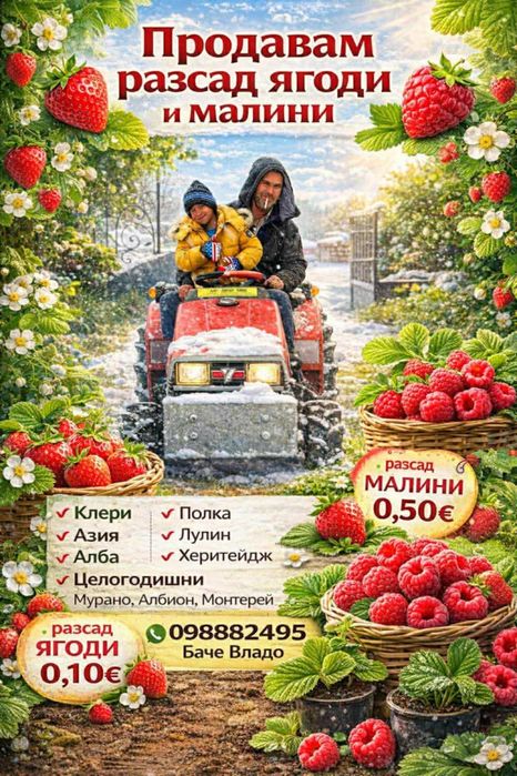 ВЪЛШЕБЕН Целогодишен Разсад Корени - Ягоди и Малини