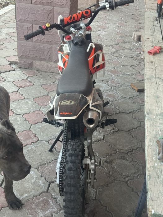 Питбайк  кайо тд125