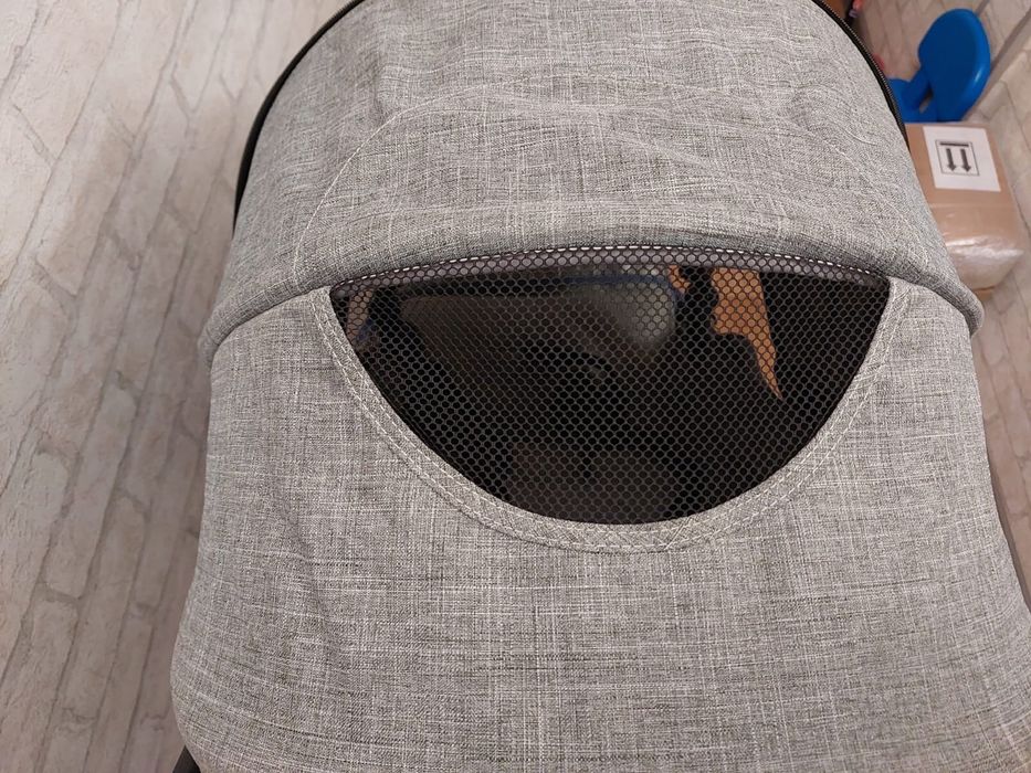 Детская коляска Valcobaby