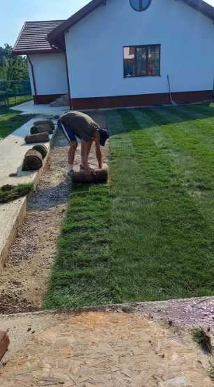 Gazonul Rulou Premium - Alegerea Perfectă pentru Grădina Ta!