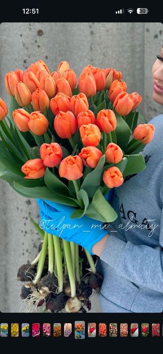 Тюльпаны к 8 марта