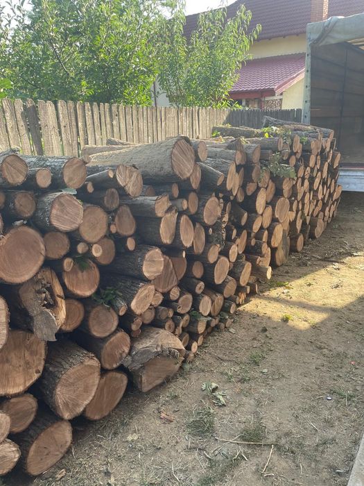 Lemn de FAG, CARPEN, STEJAR pentru centrale si sobe