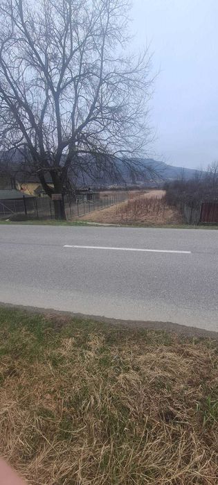 Teren intravilan Jiblea Nouă. Călimănești 6558m