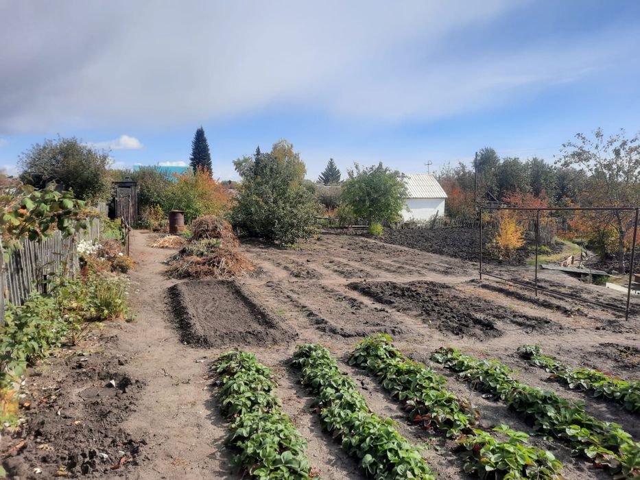 Продается дача в п. Новая Бухтарма