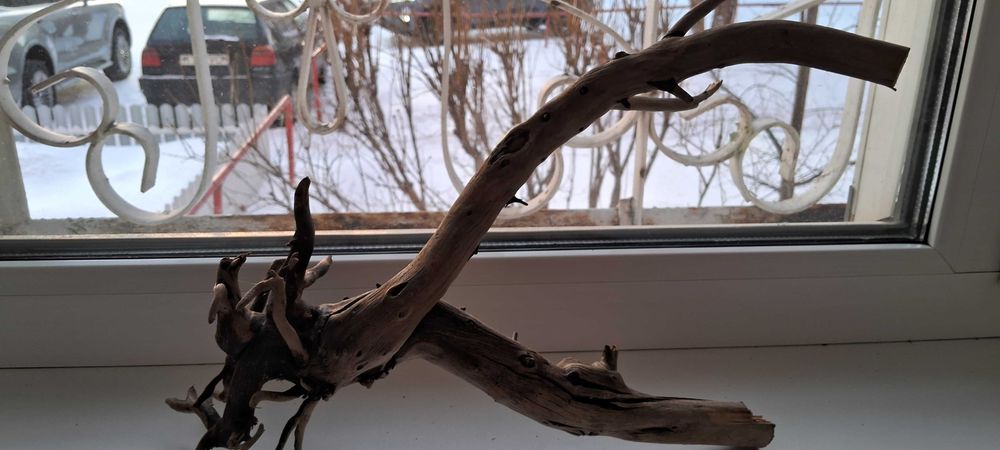 Коряга в аквариум