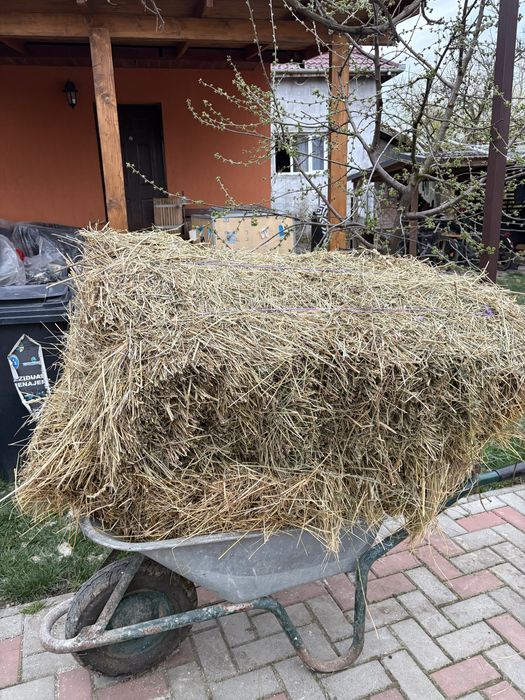 Baloți de lucernă