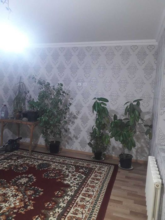 Куктерак Улугбек махала дамас кучадан 800 метр 2 сотиг 5 хона сотилади