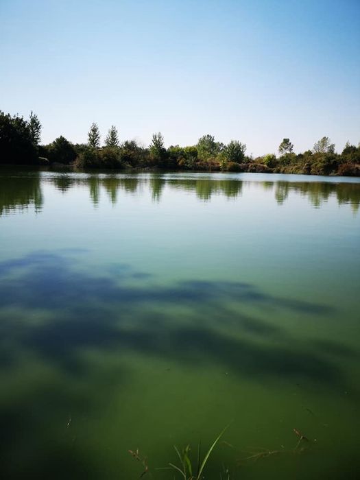 Частен язовир-рибарник Под наем