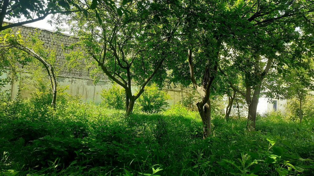 Payariq  tuman markazida uy joy sotiladi