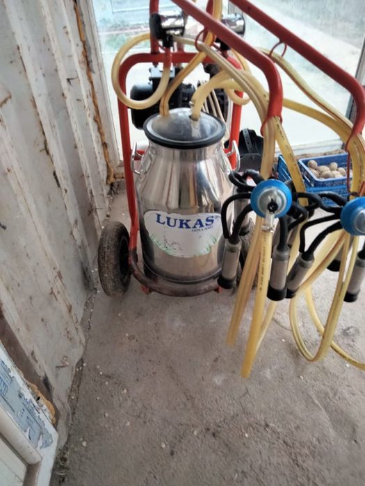 Сиыр саууға арналған апарат