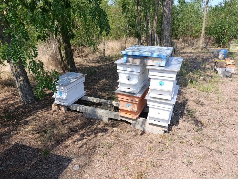 Пчелни кошери използвани