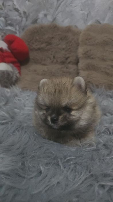 Предлагаю крутого мальчика