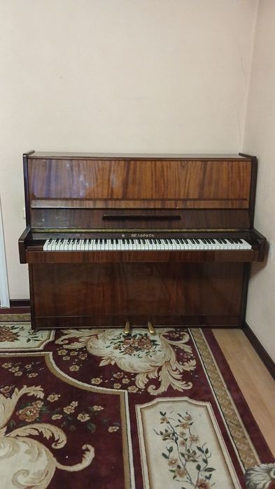 Беларусь новые 2 педалное