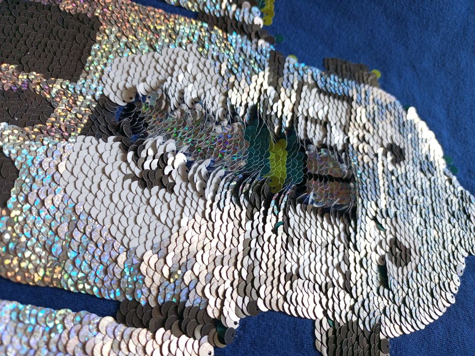 Кофта с начесом и пайетками на 6-8 лет