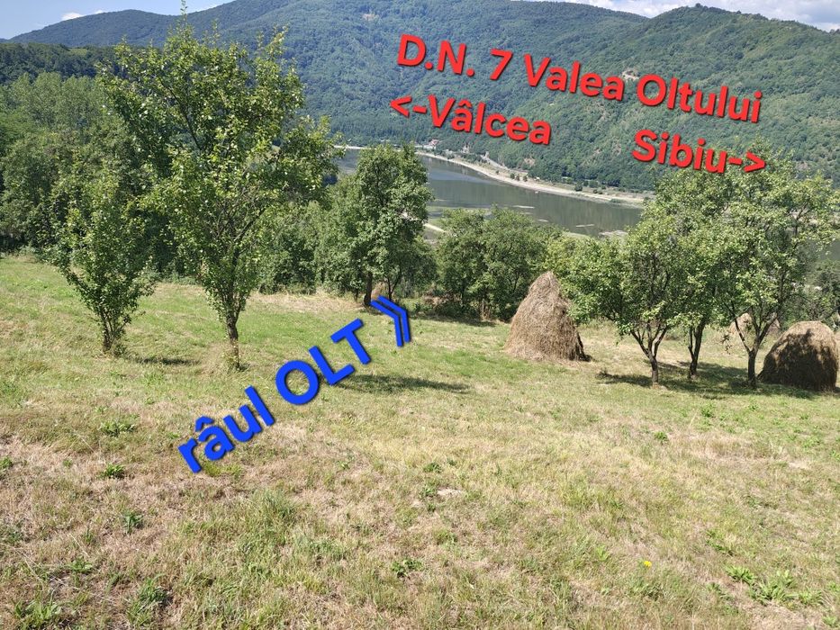 Teren casa /cabana /A-frame / Valea Oltului - 1 2€