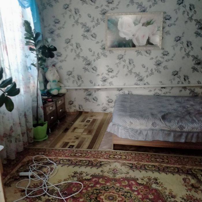Продам дом  село Петровка